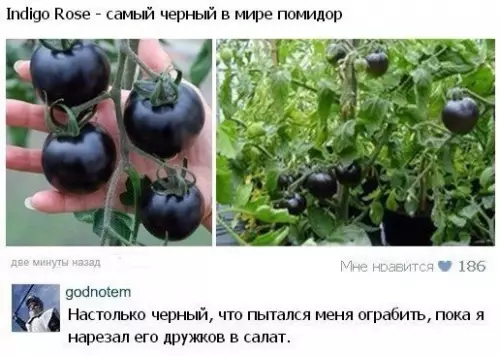 Смешная картинка №221204