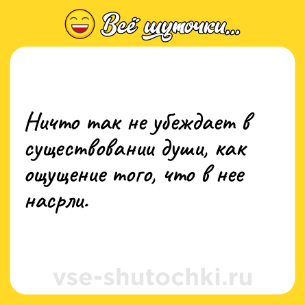 Шутка: Ничто так не убеждает в существовании души, как ощущение того, что в нее насрли.