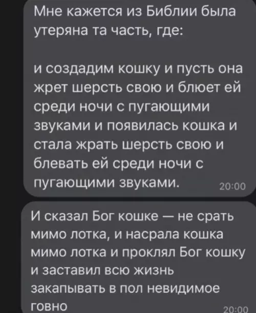 Смешная картинка №729249 Так и было Коты