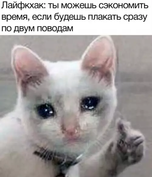 Смешная картинка №656642