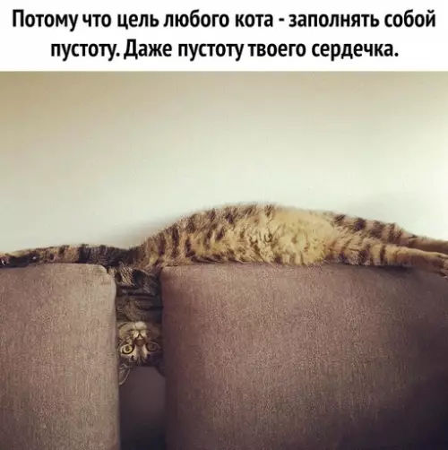 Смешная картинка №684287