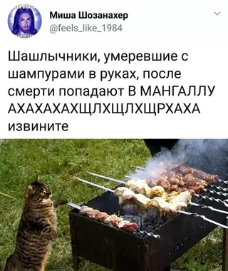 Смешная картинка №641510 шашлыки