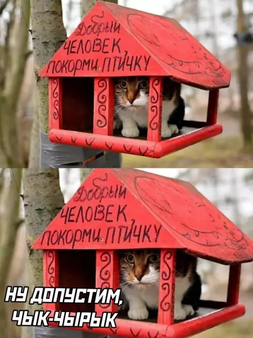 Смешная картинка №633136