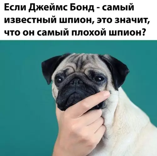 Смешная картинка №492102