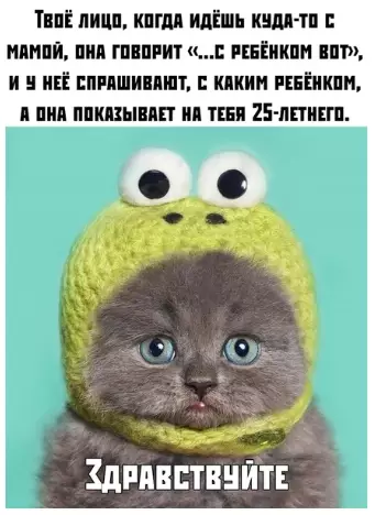 Смешная картинка №378860 Дa этo же пpo мeня.