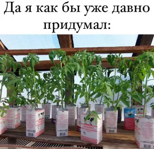 Смешная картинка №703057 В России придумали, как дать вторую жизнь упаковкам из-под молока
