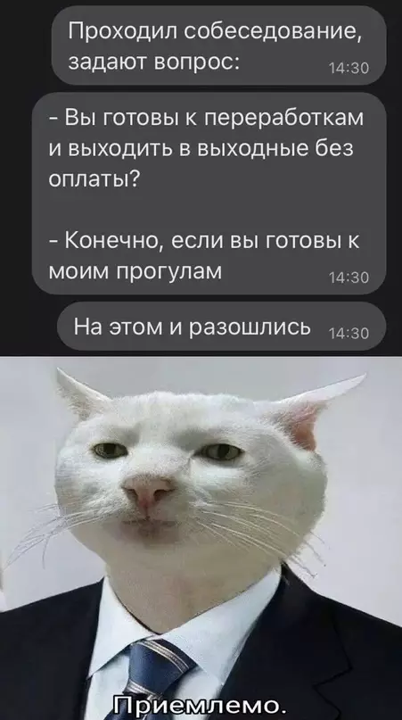 Смешная картинка №678655 Собеседования