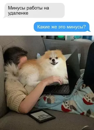 Смешная картинка №701727