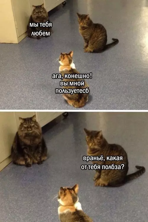 Смешная картинка №776519