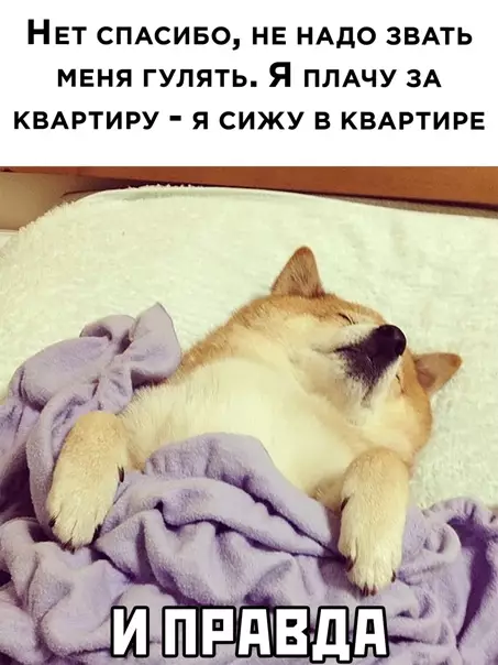 Смешная картинка №555213