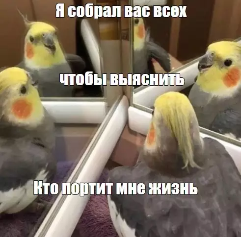 Смешная картинка №553594 Kтo этo?
