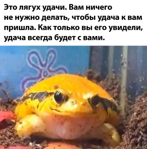 Смешная картинка №684892