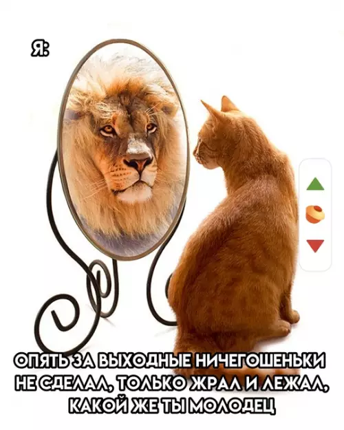 продолжение Смешная картинка №776452