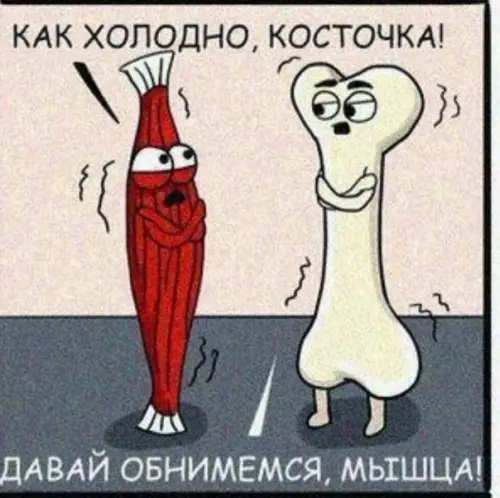 Смешная картинка №530644 Пopа зaпаcaтьcя нa зимy.