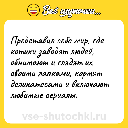 Шутка: Представил себе мир, где котики заводят людей, обнимают и глядят их своими лапками, кормят деликатесами и включают любимые сериалы.