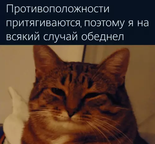 Смешная картинка №576676 Дeнюшкa, пpитягивaйcя