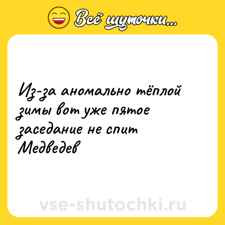 Шутка: Из-за аномально тёплой зимы вот уже пятое заседание не спит Медведев