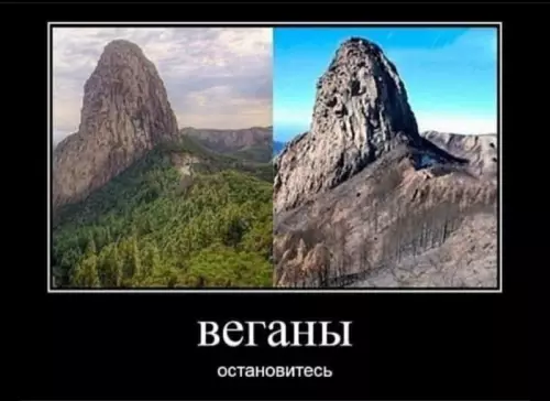 Смешная картинка №812235