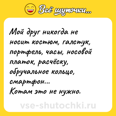 Шутка: Мой друг никогда не носит костюм, галстук, портфель, часы, носовой платок, расчёску, обручальное кольцо, смартфон...<br>Котам это не нужно.