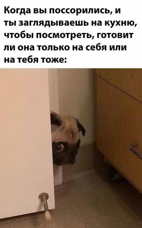 Смешная картинка №674254