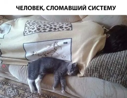 Смешная картинка №276069