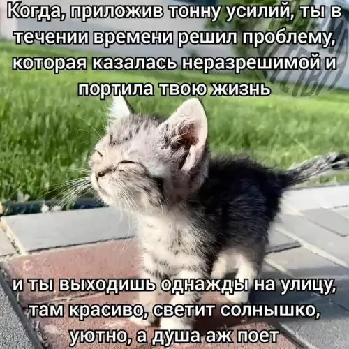 Смешная картинка №750857