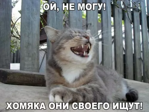 Смешная картинка №237183