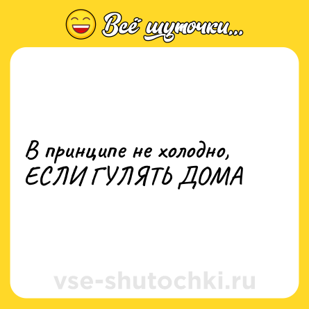 Шутка: В принципе не холодно, ЕСЛИ ГУЛЯТЬ ДОМА