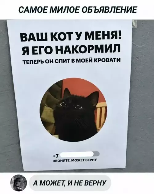 Осторожно, этот кот крадет сердца и кровати! 🐈‍⬛ - ВАШ КОТ У МЕНЯ! Я ЕГО НАКОРМИЛ ТЕПЕРЬ ОН СПИТ