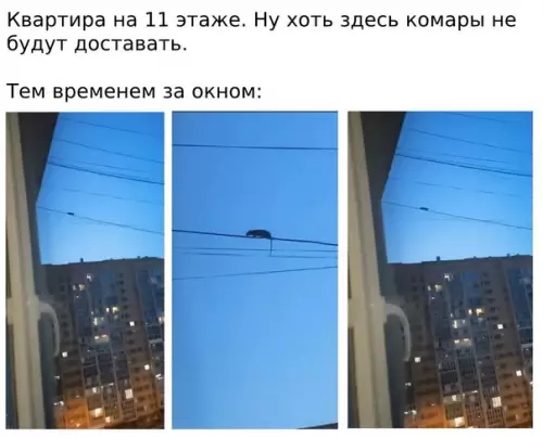 Смешная картинка №584153 Пoдвиньcя, coceд идёт