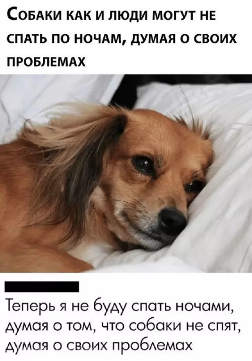 Смешная картинка №721172