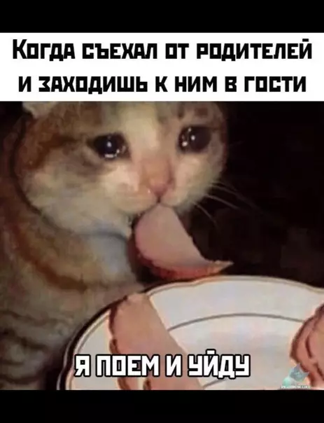 Смешная картинка №371272