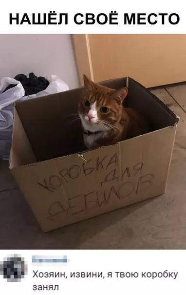 Смешная картинка №348225