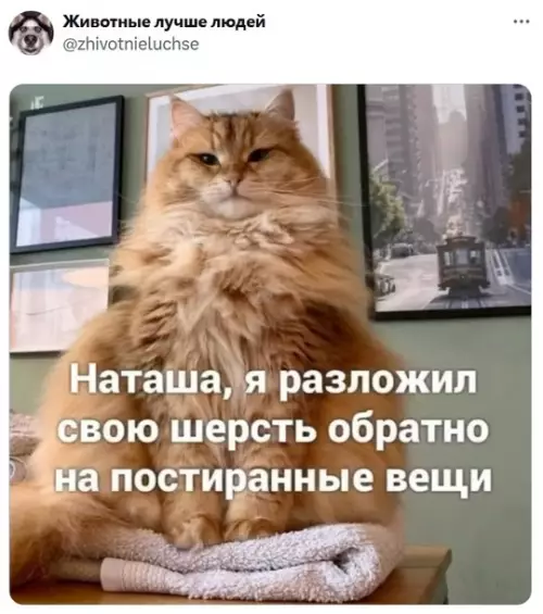 Смешная картинка №769754 Спасибо не говори 