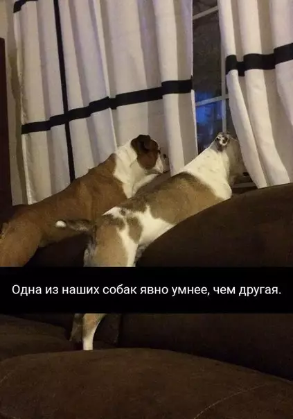 Смешная картинка №213593