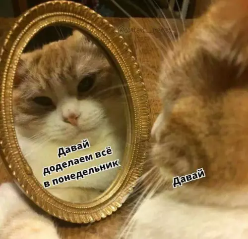 Смешная картинка №791053