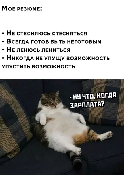 Смешная картинка №511062