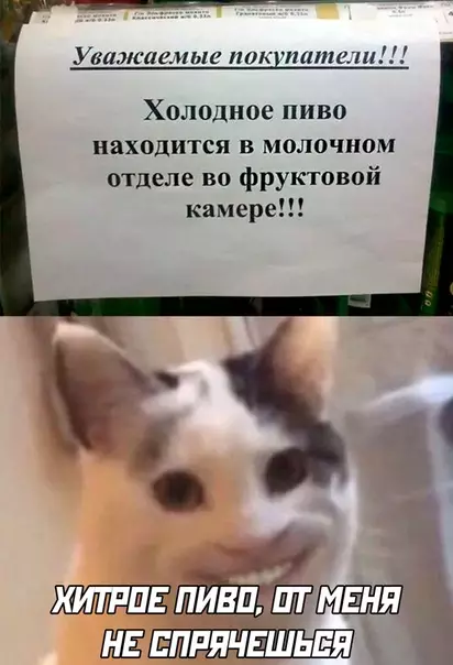 Смешная картинка №497824