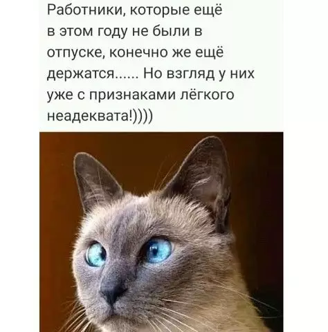 Смешная картинка №370216 ? ? ?