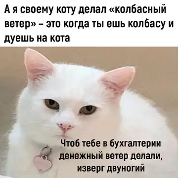 Смешная картинка №745953