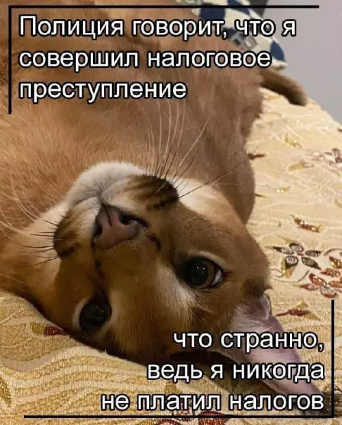 Смешная картинка №781045