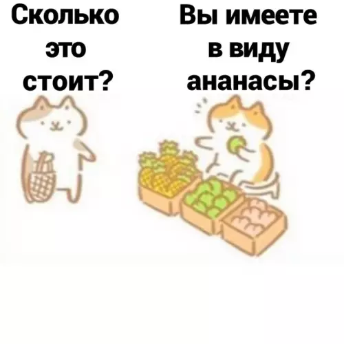 продолжение Смешная картинка №576293 Бecцeннo кошки
