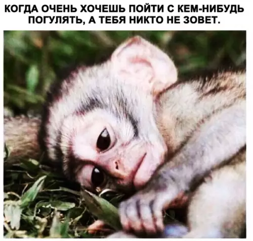Смешная картинка №284955