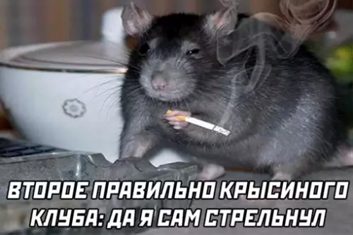 продолжение Смешная картинка №640737