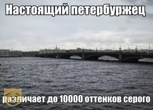 Смешная картинка №376155 #приколы #картинки #мемы ?