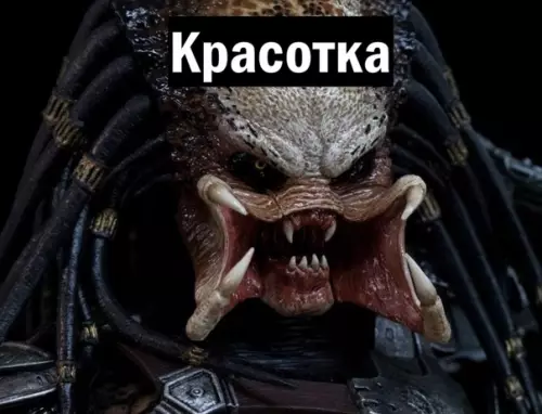 продолжение Смешная картинка №592602 Рай для стоматолога  