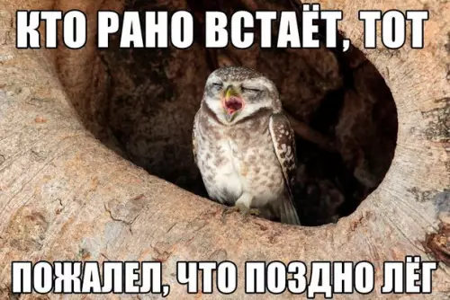 Смешная картинка №192713