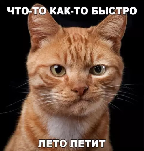 Смешная картинка №192996