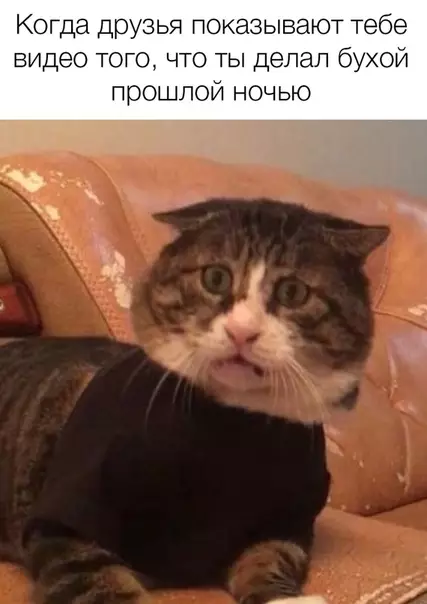 Смешная картинка №440441 И ты думаешь "надо повторить"