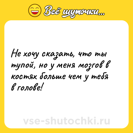Шутка: Не хочу сказать, что ты тупой, но у меня мозгов в костях больше чем у тебя в голове!